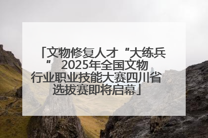 文物修复人才“大练兵” 2025年全国文物行业职业技能大赛四川省选拔赛即将启幕